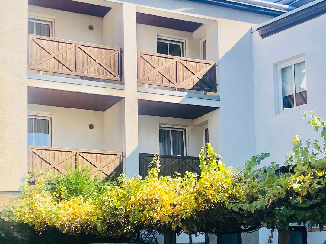 Hotel Voslauerhof主图