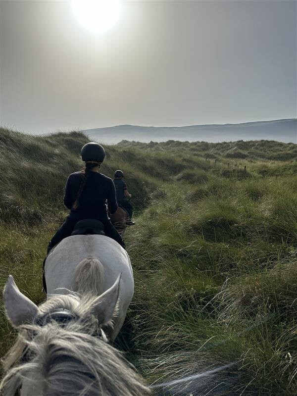Bespoke Equestrian Ireland景点图片