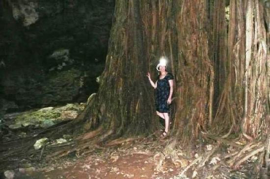 Cave of Refuge: Duncans Cave Tour-Duncans必去景点