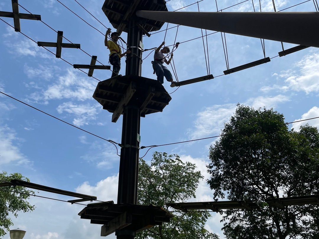 Forest Adventure-新加坡必去景点