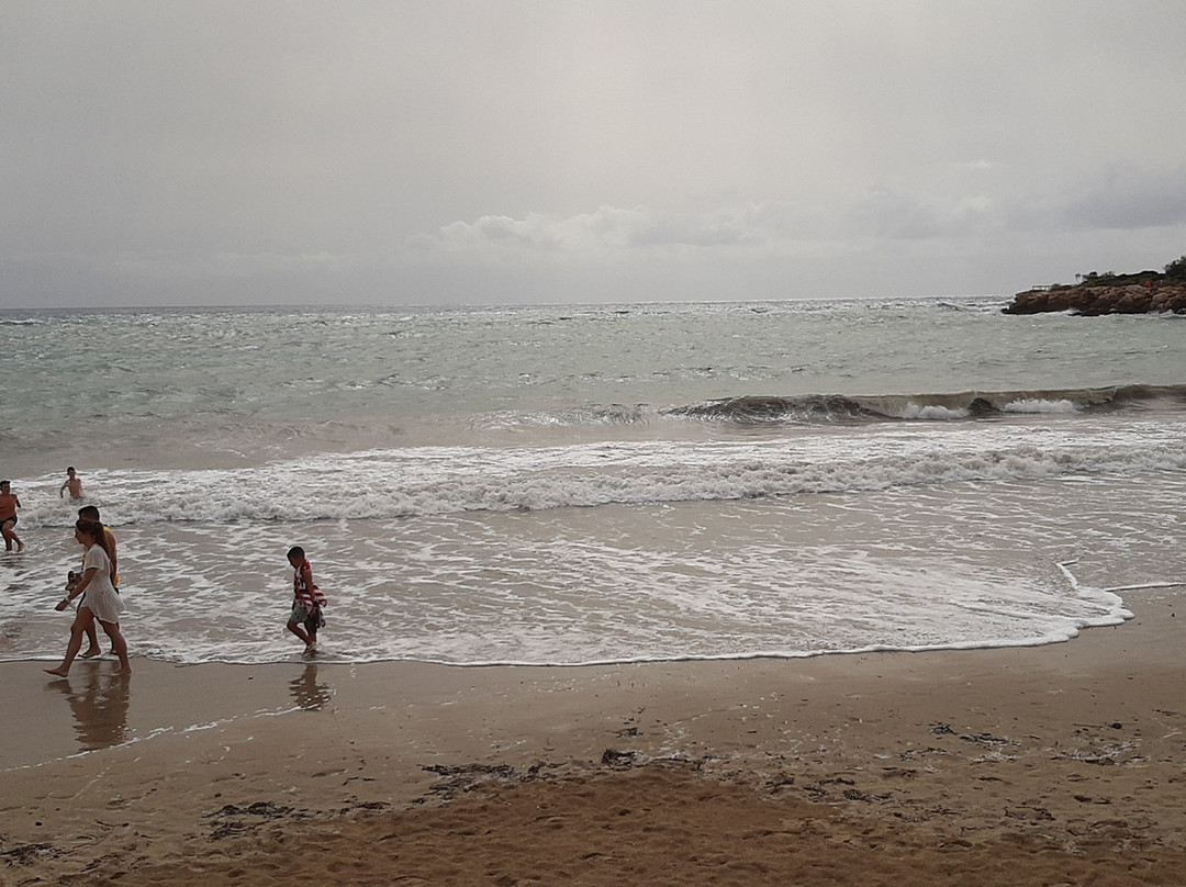 Playa de Levante o la Fossa景点图片