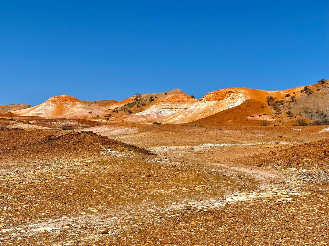 Painted Hills Via William Creek景点图片