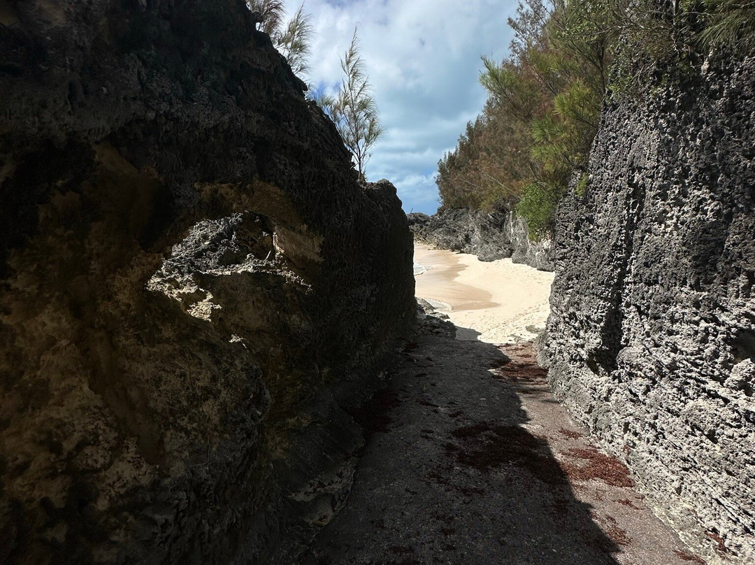 West Whale Bay Beach-南安普敦必去景点