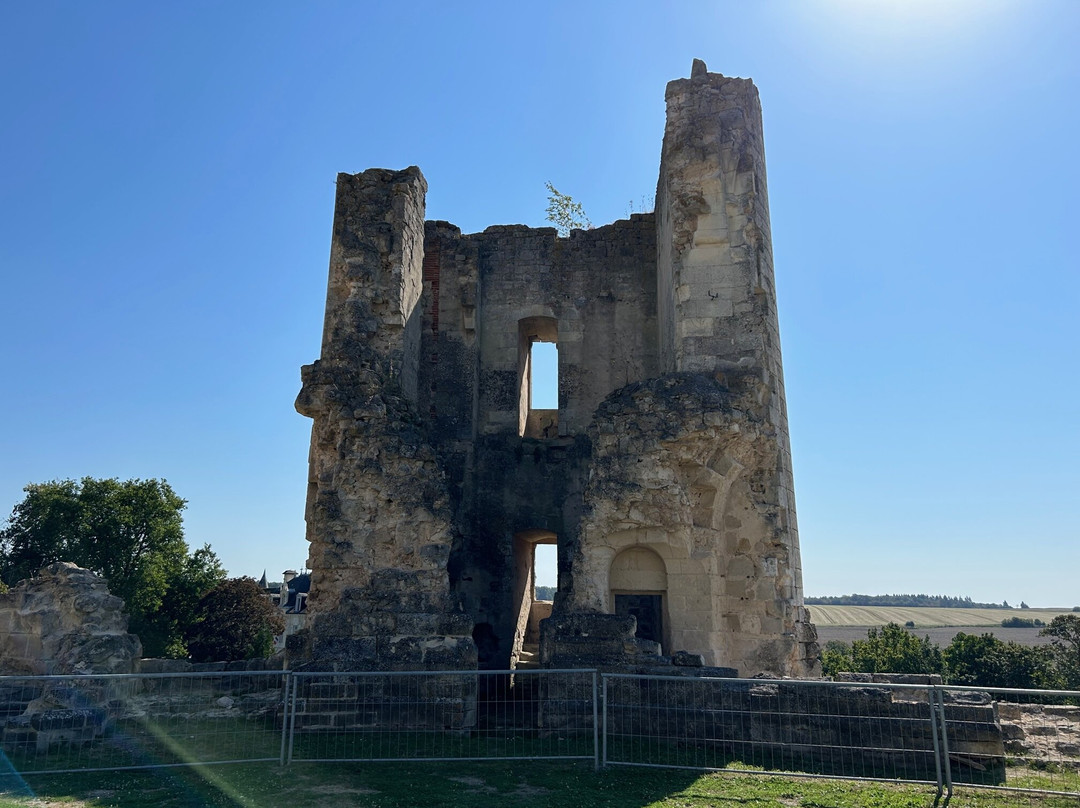 Château de Fère-en-Tardenois-Fere-en-Tardenois必去景点