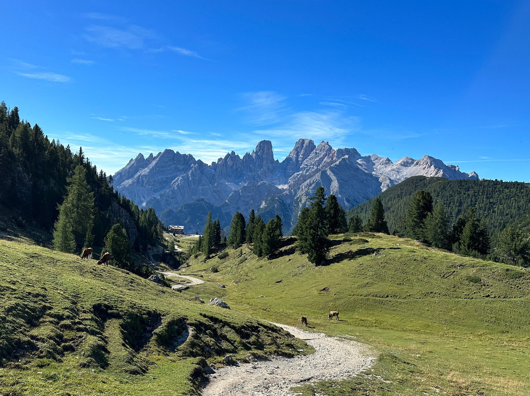 Dolomite Treks - Day Excursions景点图片