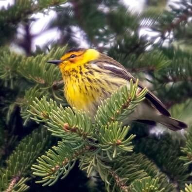Penn Lake Park-Marathon必去景点