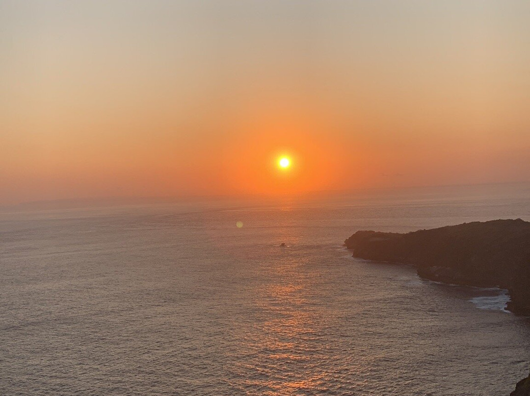 Kelingking Beach Nusa Penida-Bunga Mekar必去景点