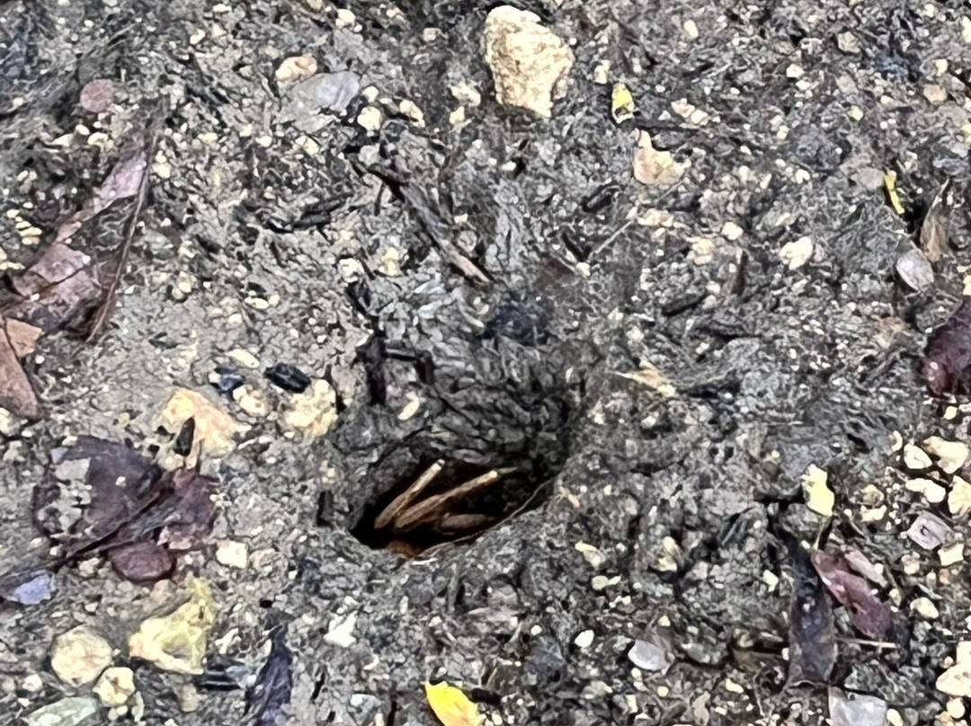 Plage de Babin-Morne-A-l'Eau必去景点