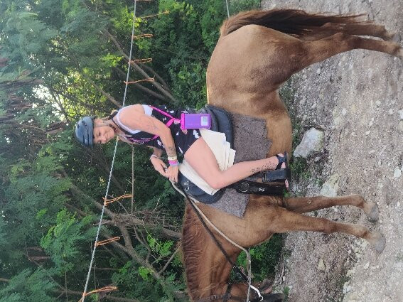 Swim Horse Punta Cana景点图片