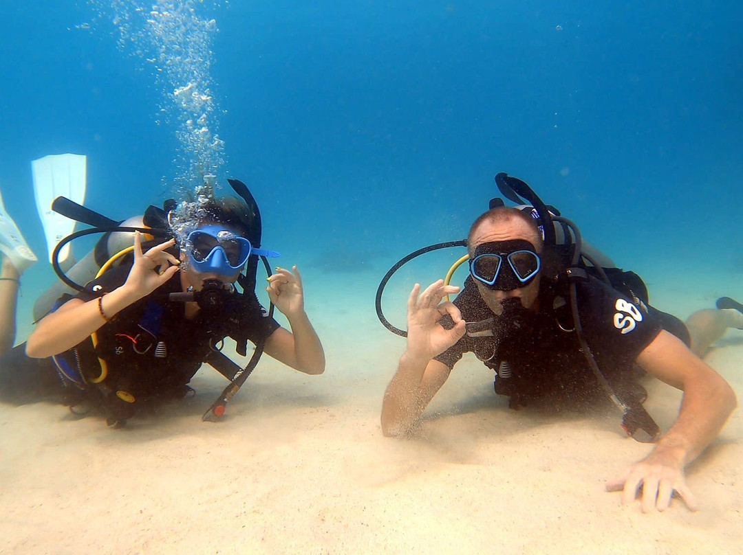 Scuba Birds International Dive Center-涛岛必去景点
