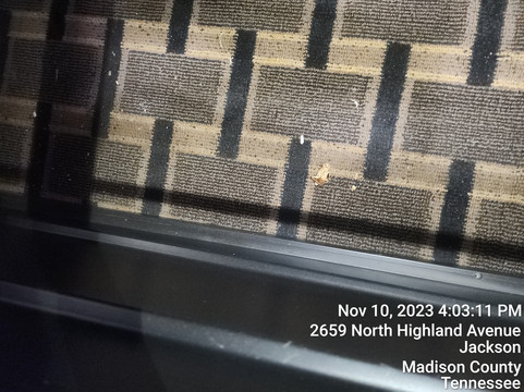 Travelodge 由温德姆杰克逊 I-40 出口 82主图