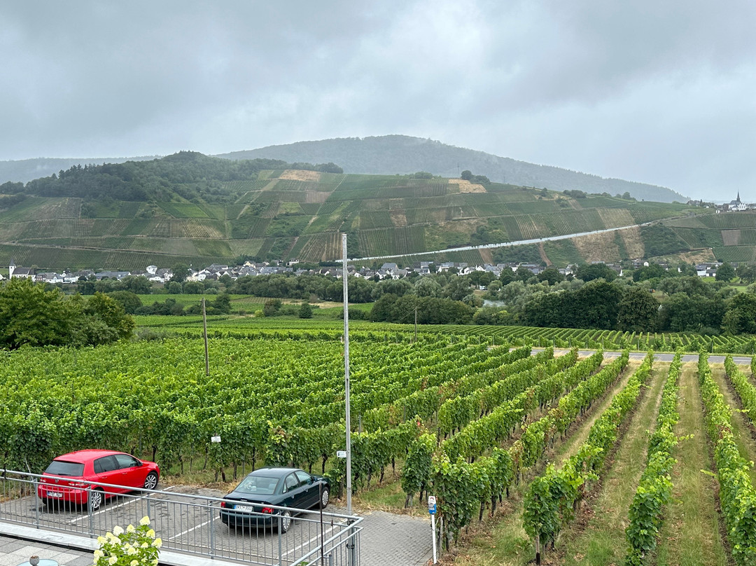 Weingut-Pension Tiliahof主图