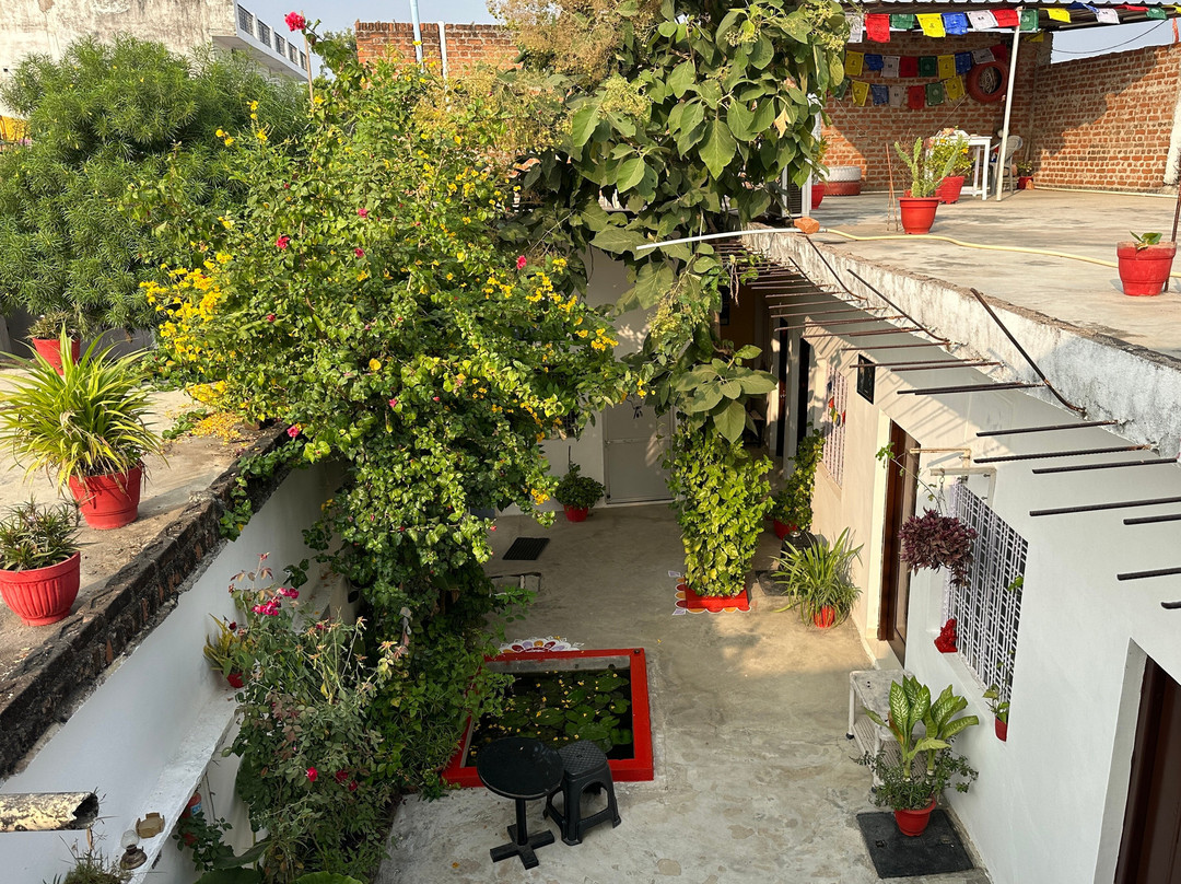 The Highvill Home Stay主图