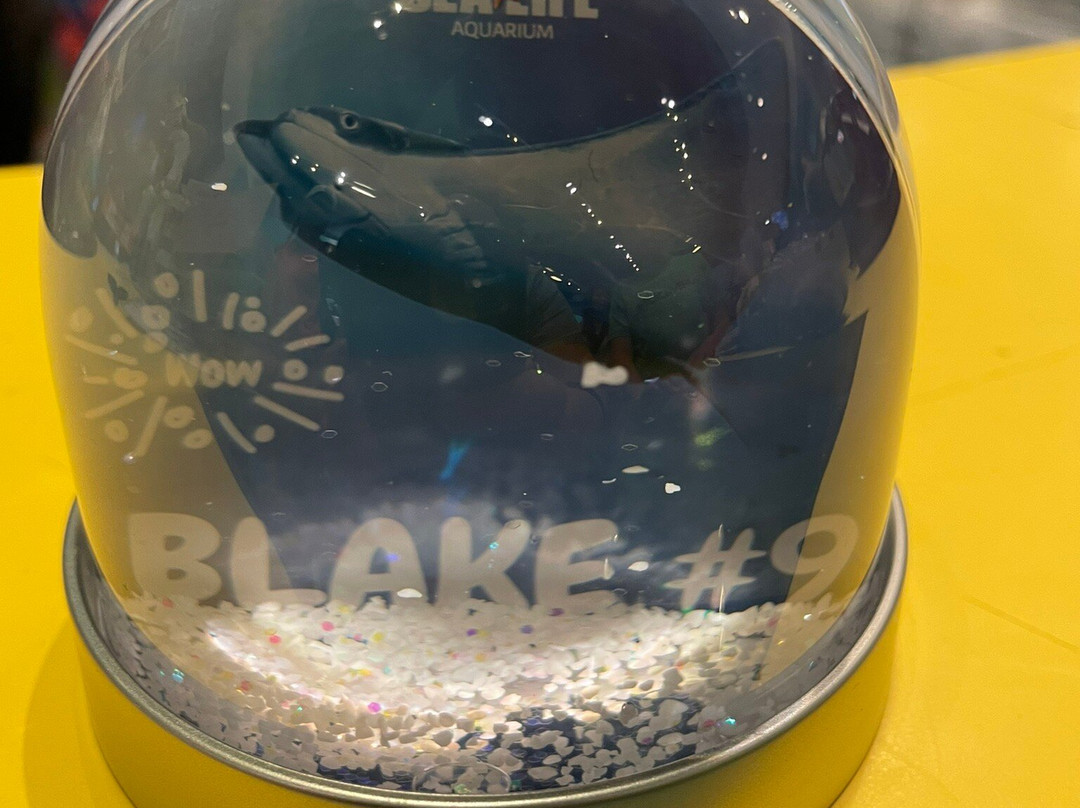 SEA LIFE Arizona Aquarium-坦佩必去景点