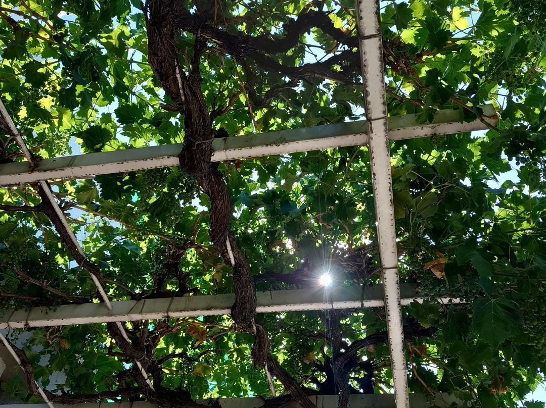 Hotel  Villa Don Tomas主图