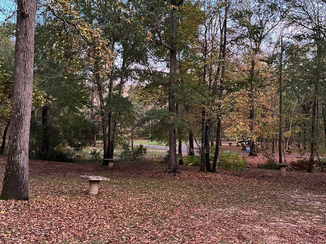 Davey Dogwood Park-Palestine必去景点