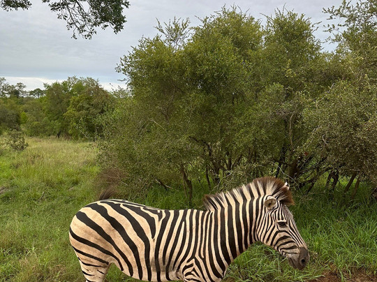 Irving Knight Safaris-玛洛斯帕克必去景点