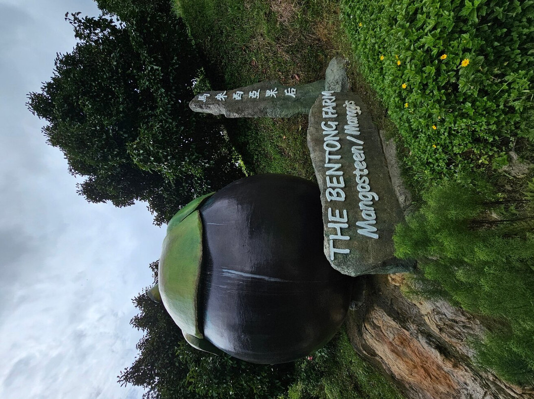 The Bentong Farm景点图片