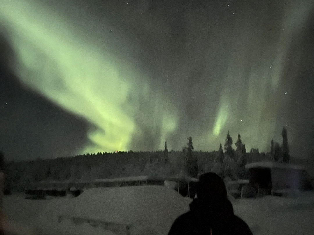 Snowdog The Arctic Adventure Co.-基律纳必去景点