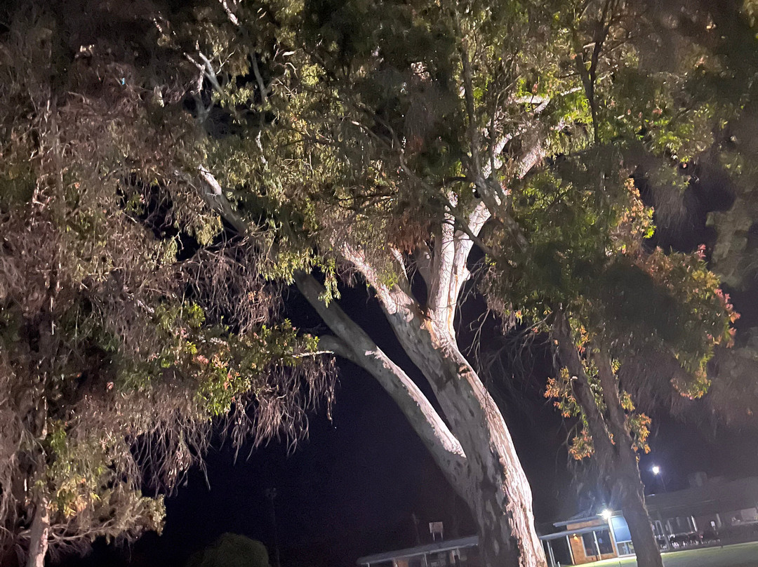 Deni Golf Resort主图