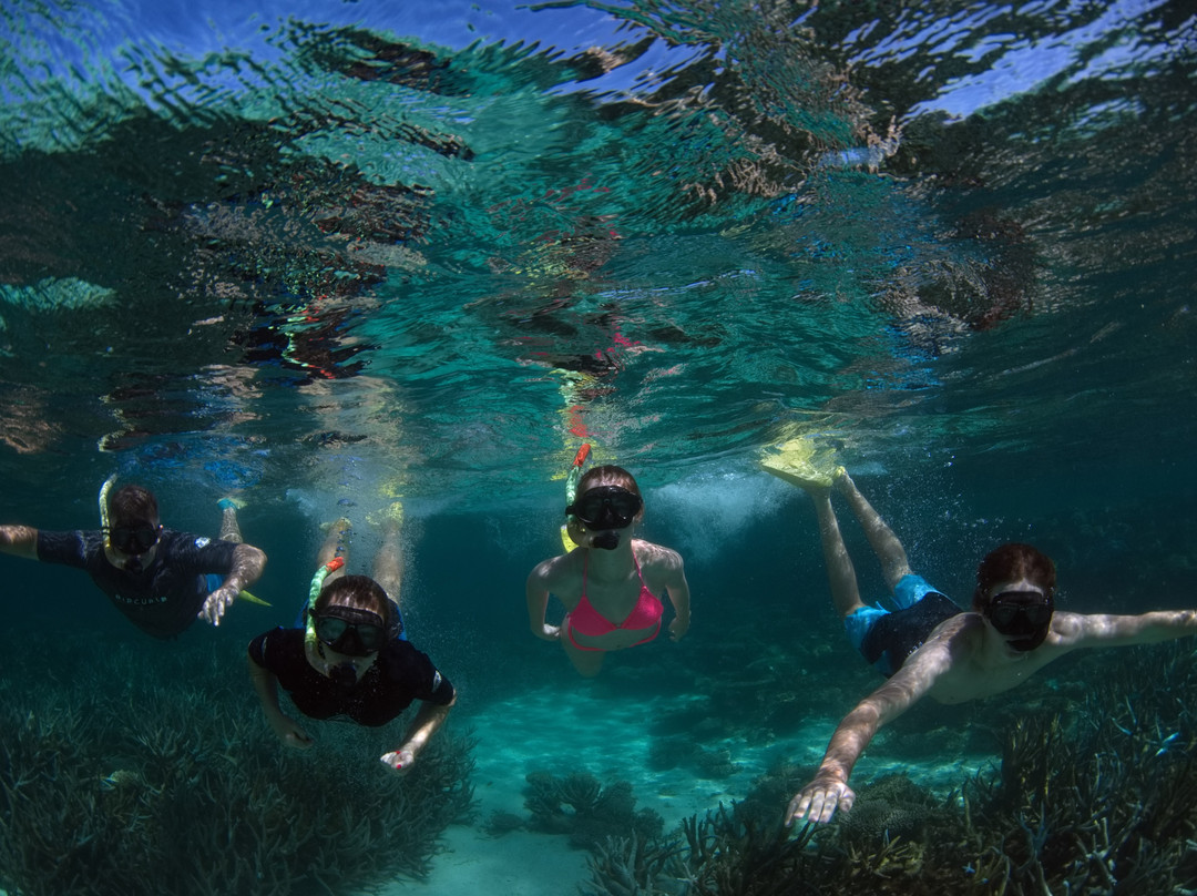 Ningaloo Marine Interactions-珊瑚湾必去景点