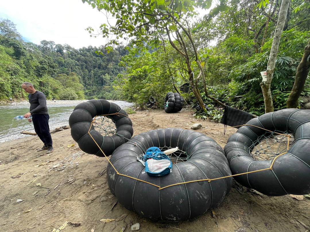 Monkey business tours-武吉拉旺必去景点