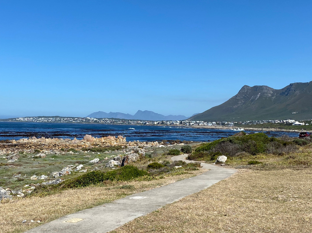 138海洋海滨宾馆主图