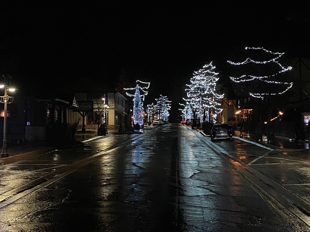 Robinhood Resort主图