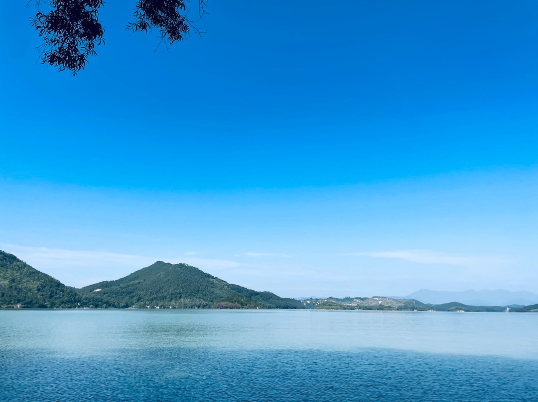 玉湖风景区-高州市必去景点