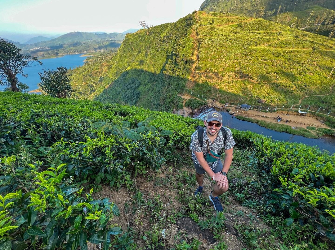 Hugging Clouds Tours-Nallathanniya必去景点