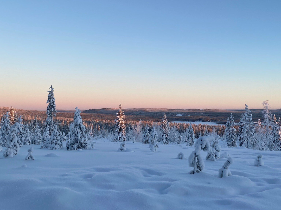 Aurora eMotion - Electric Snowmobile Safaris-罗瓦涅米必去景点