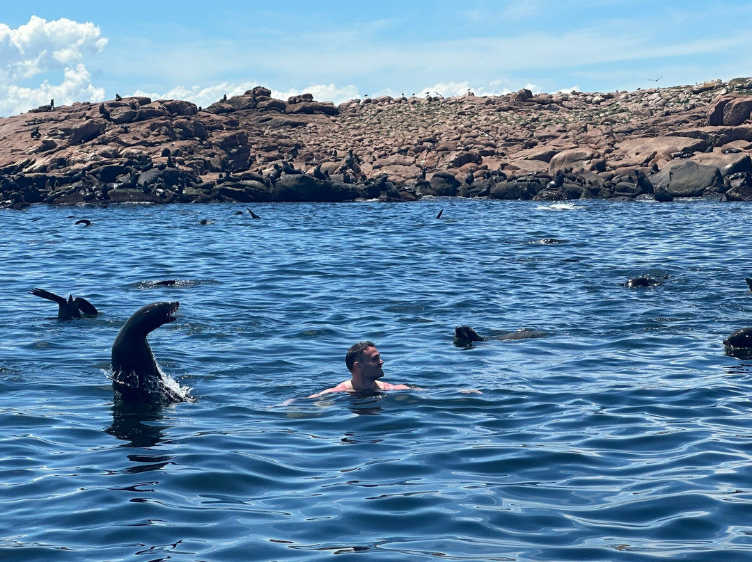 Isla de Lobos-埃斯特角城必去景点