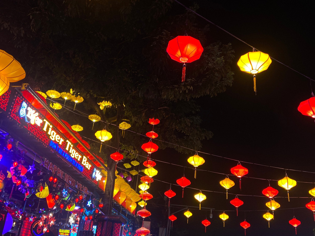 King Tiger Tiger Bar-会安必去景点