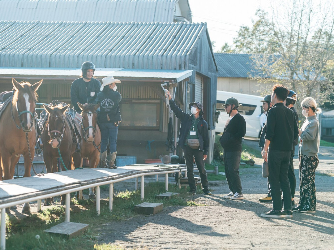 Yumedaichi Green Valley-阿苏市必去景点