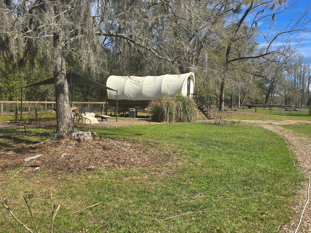 Rooterville Animal Sanctuary-Melrose必去景点