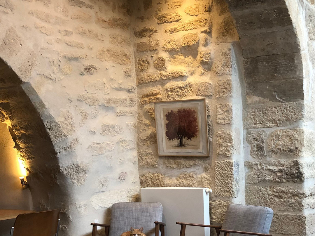 Boutique Hôtel Entraigues主图