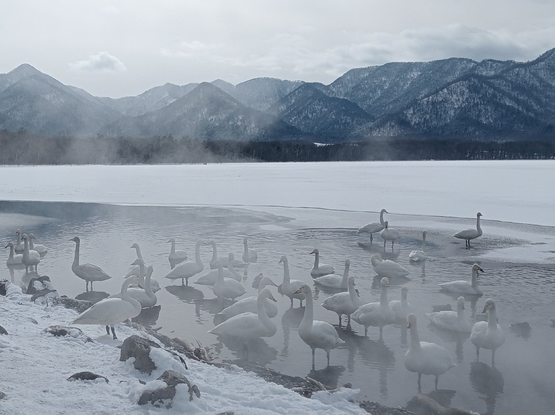 Kotan Onsen-弟子屈町必去景点