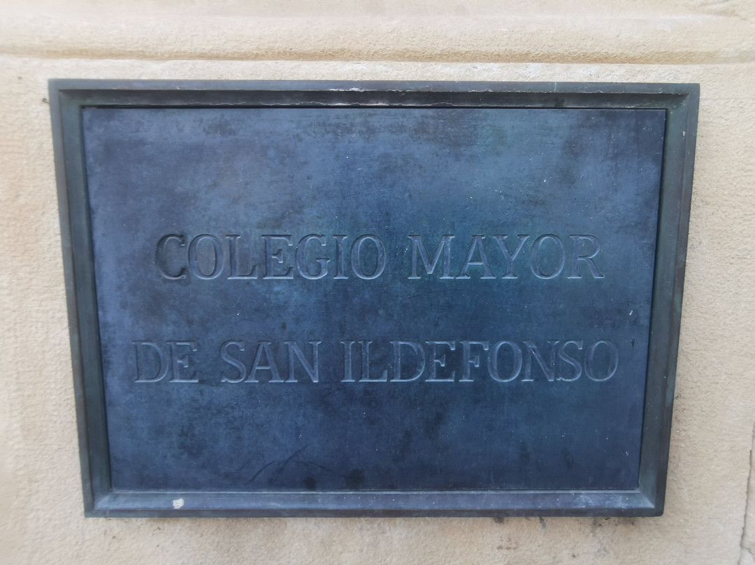 Colegio de San Ildefonso-阿尔卡拉-德-哈纳雷斯必去景点