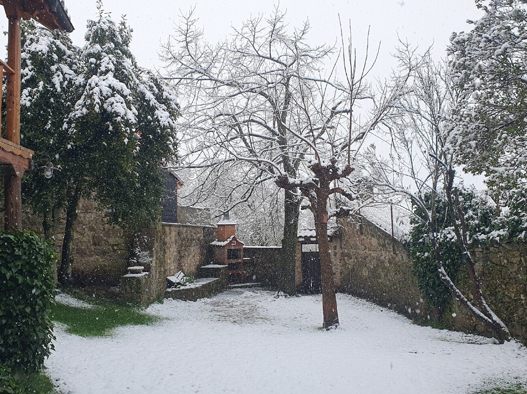公鸡啼鸣酒店主图