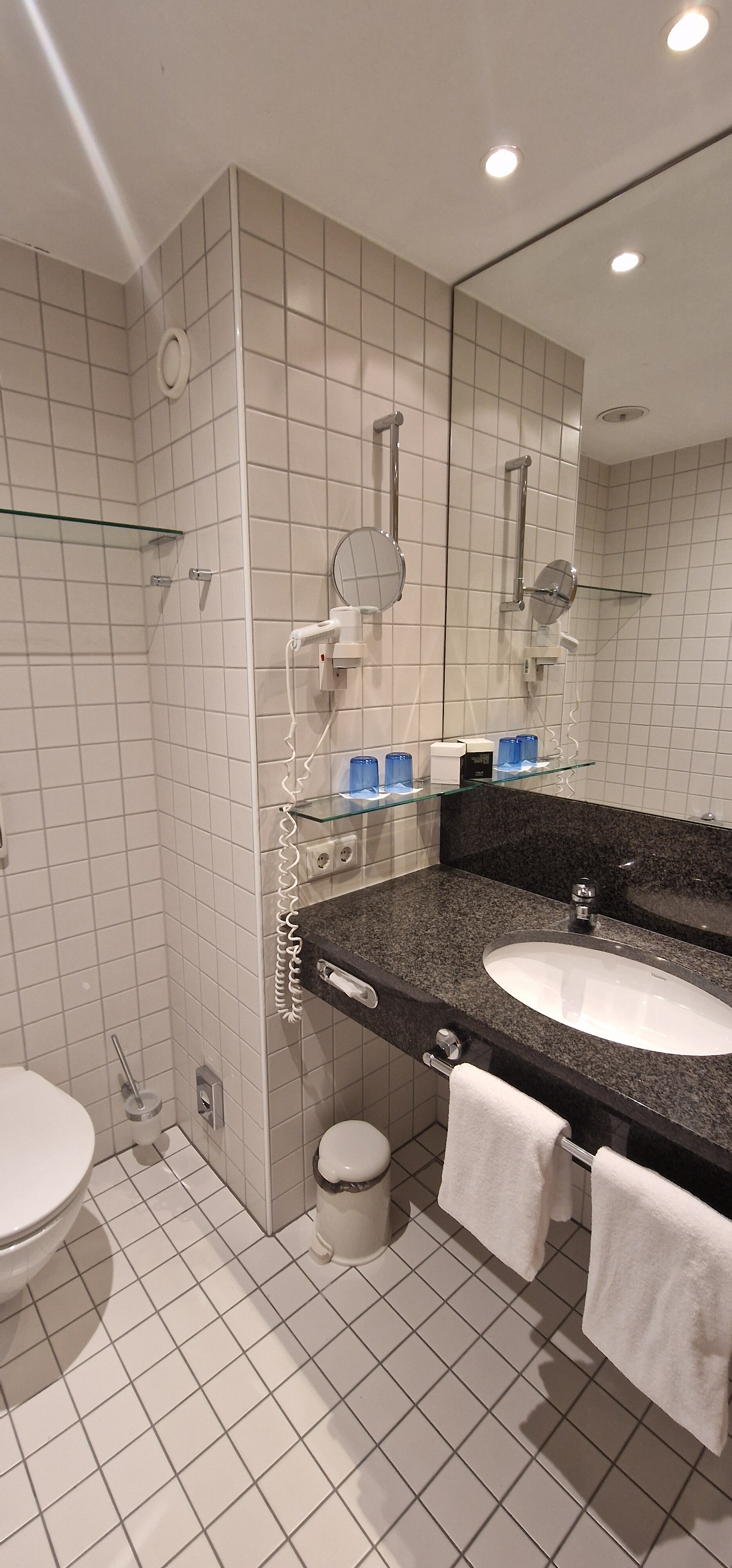 Dorint Hotel Potsdam-浴室