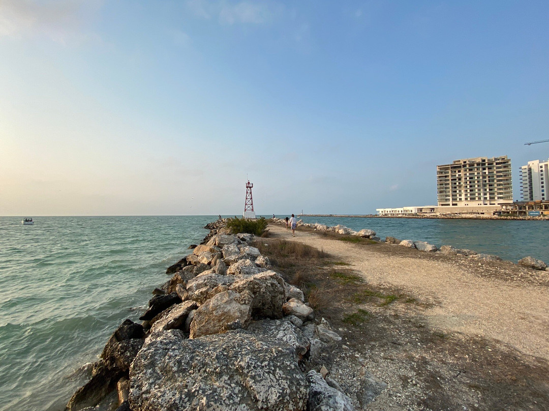 Pig Beach Progreso-Progreso必去景点