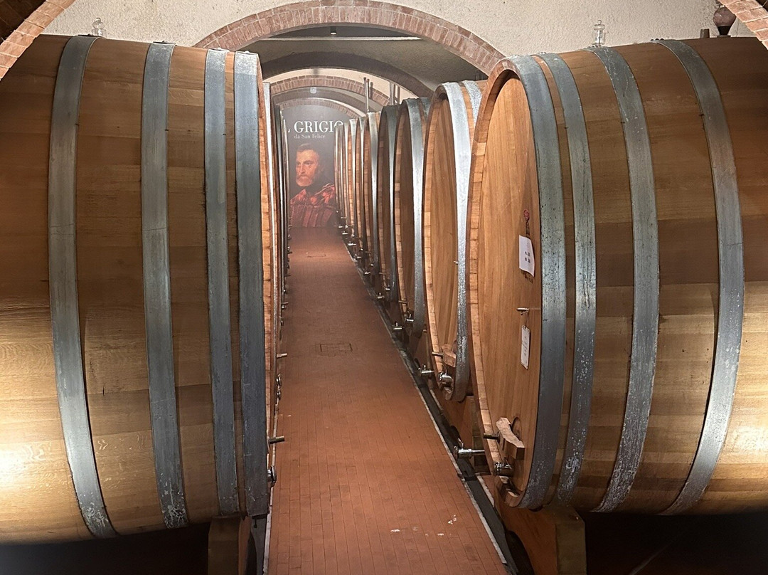 Vineria San Felice景点图片