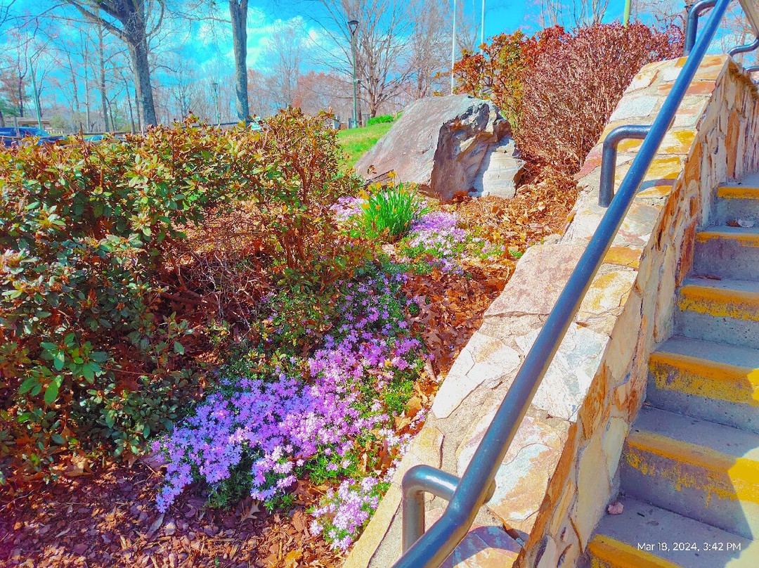 North Carolina Welcome Center景点图片