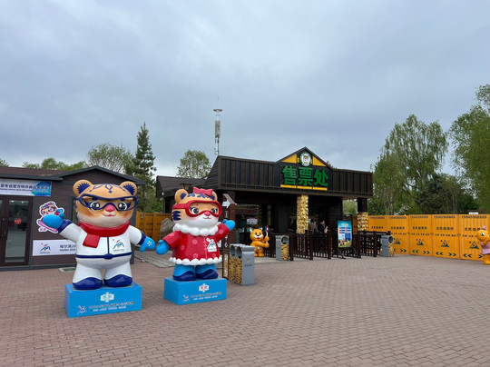 东北虎林园-哈尔滨市必去景点