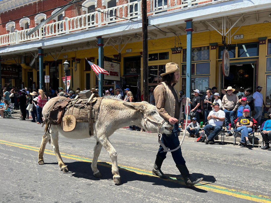 Virginia City Visitor Center-弗吉尼亚市必去景点