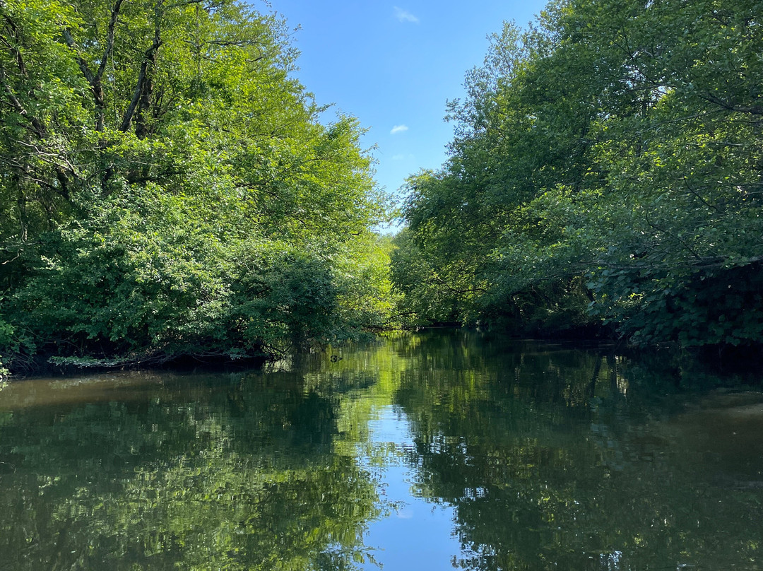 Kolkheti National Park-Poti必去景点