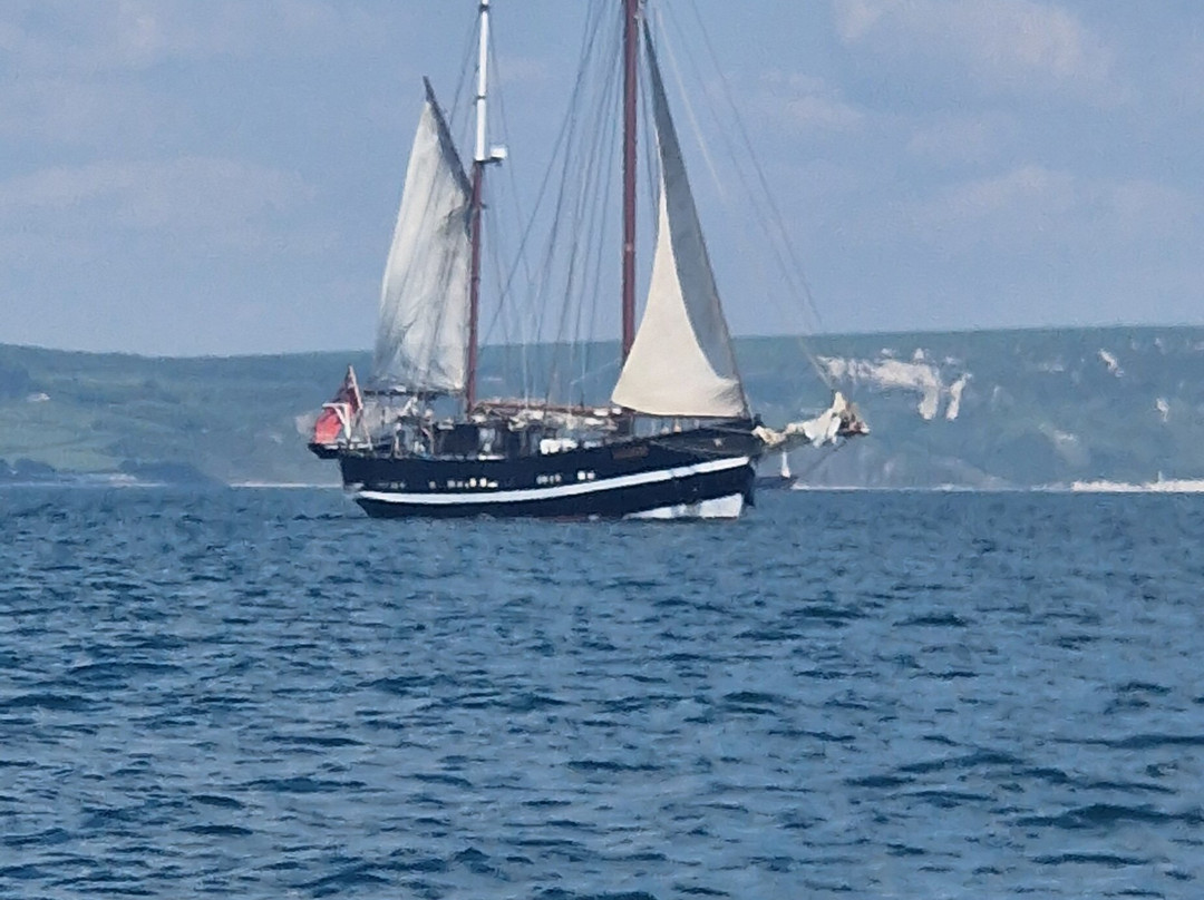 Coastline Cruises-韦茅斯必去景点