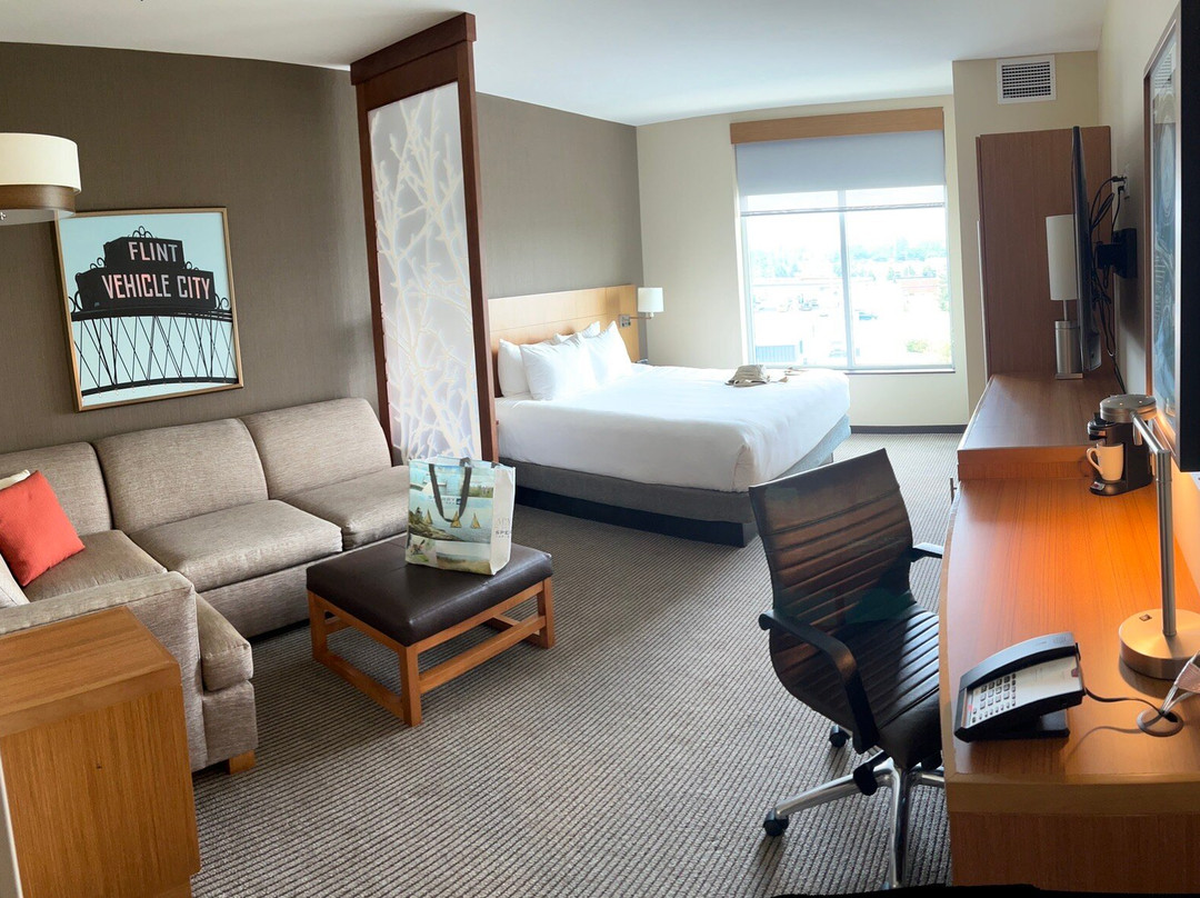 Hyatt Place Flint / Grand Blanc主图