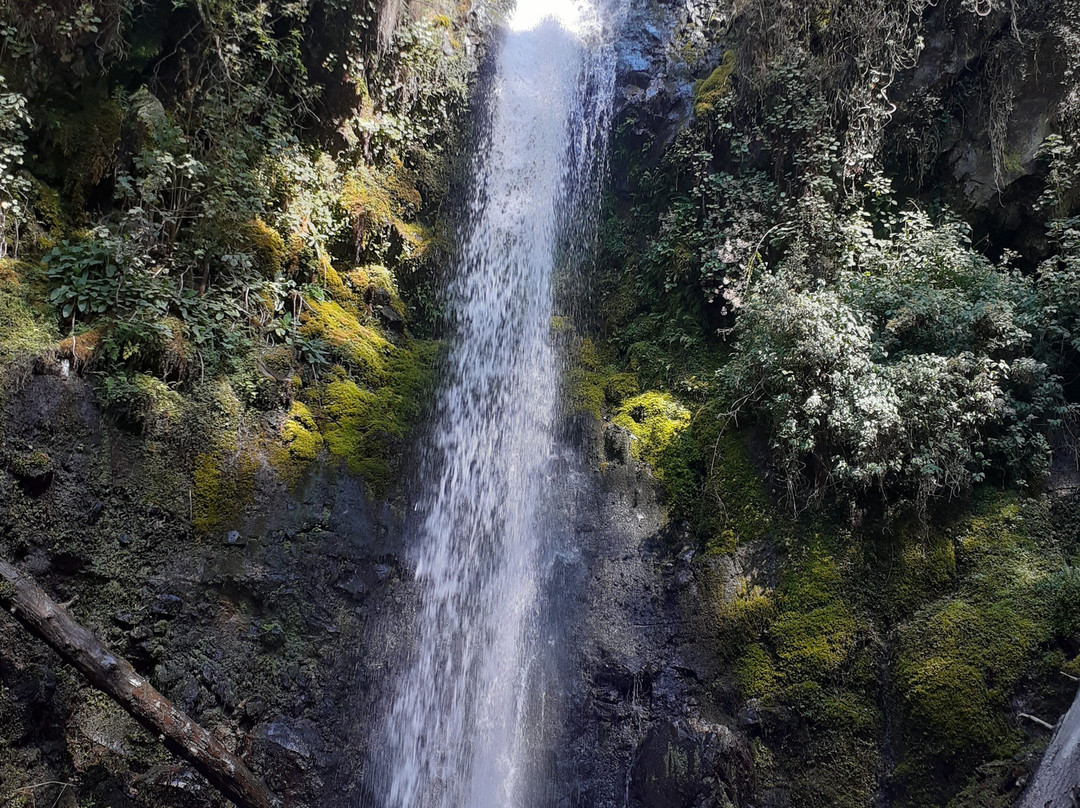 Cascada de los Diamantes-San Rafael必去景点