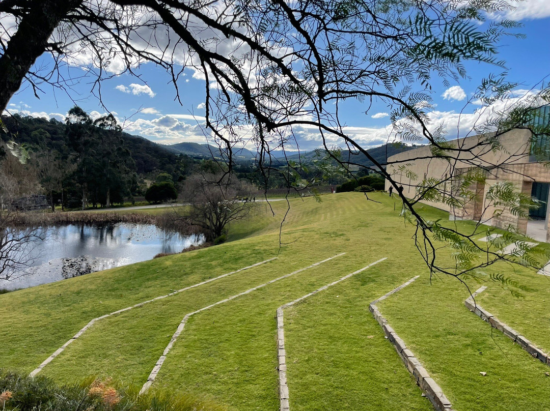 TarraWarra Estate Cellar Door景点图片